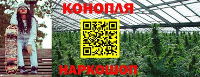 СК Абакан