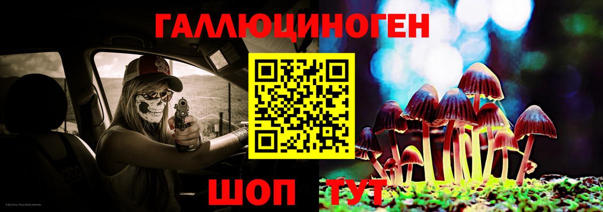 Галлюциногенные грибы GOLDEN TEACHER  Псилоцибиновые грибы Psilocybe  Вход с VPN  Абакан 